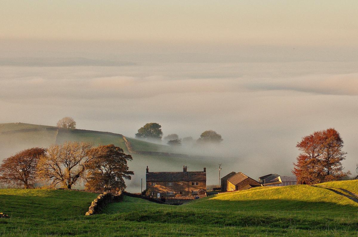 Ribble Valley autumn fog, near Downham by Andrew Cowell