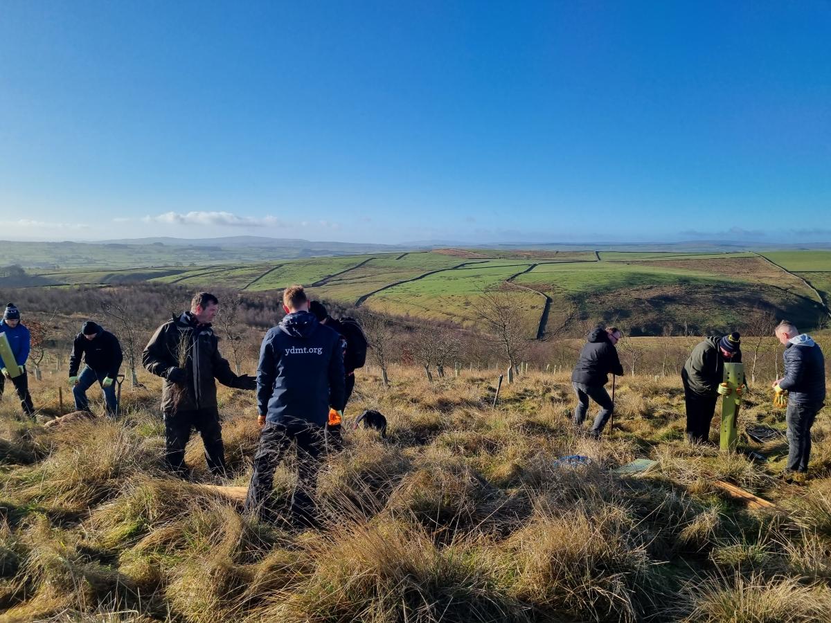 Volunteers tree planting - image credit YDMT