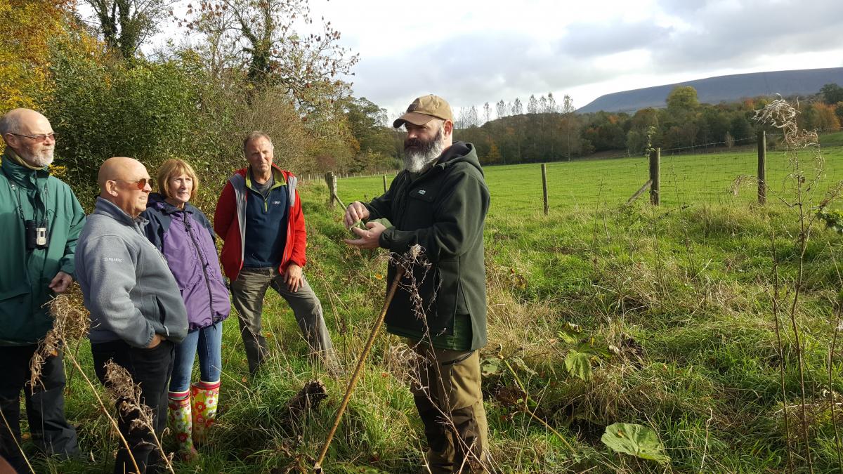 Foraging Walk