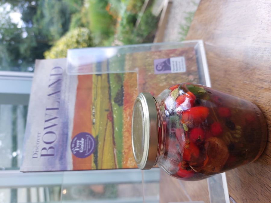 Herbal Medicine Elixir