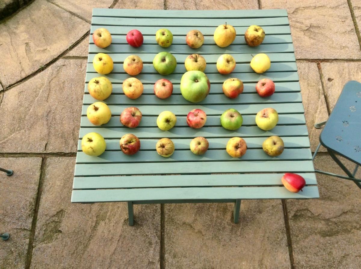 Apples on table Apples on table