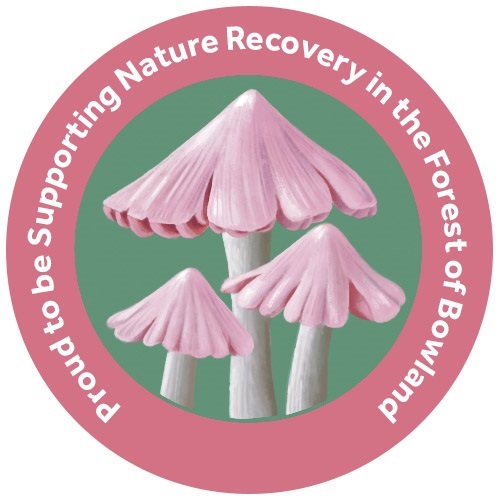 Ballerina Waxcap Supporter Badge_artwork by Salt Marsh Studios
