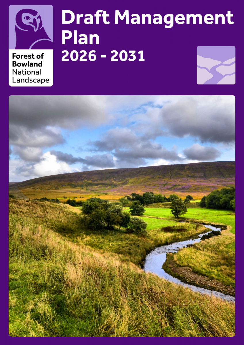 Draft management plan cover image