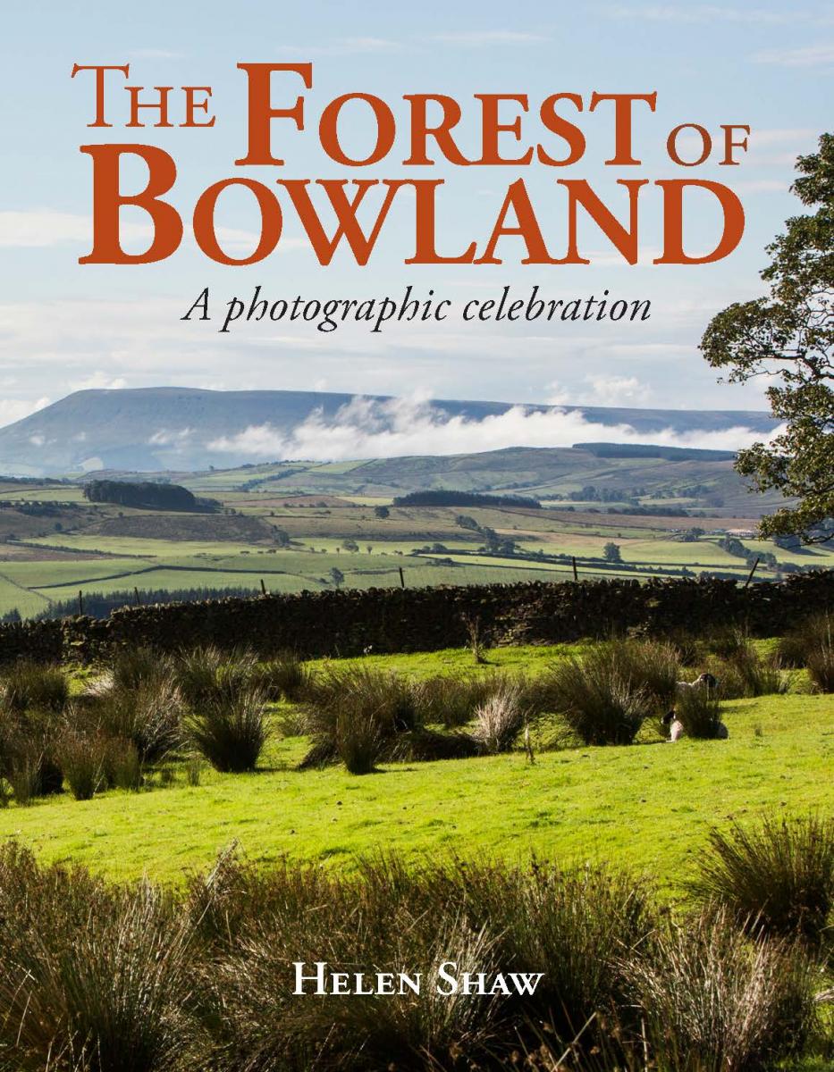 The Forest of Bowland by Helen Shaw