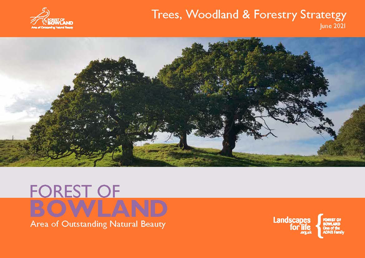 Trees, Woodland  & Forestry Strategy Cover
