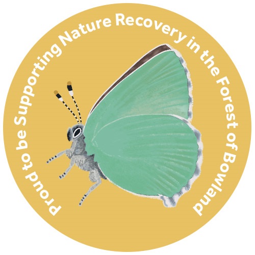 Champion Species Artwork by Saltmarsh Studios