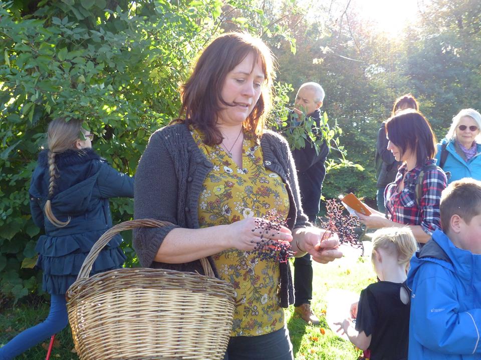 Herbal Medicine Walk with Danielle Kaye