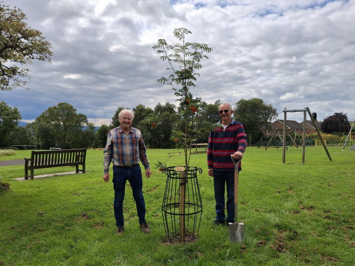 Higham with West Close Parish Council_Landmark Tree