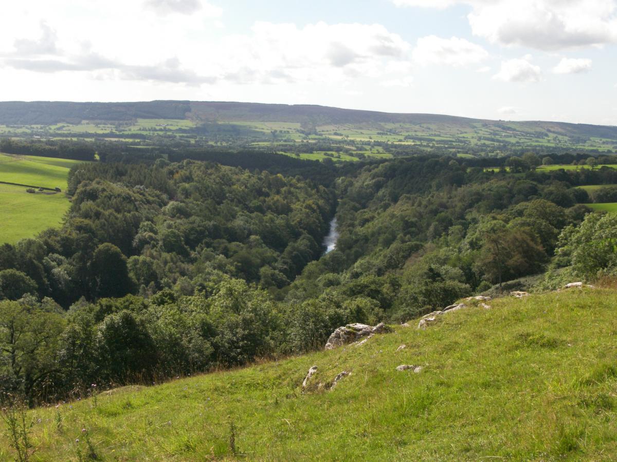Hodder Valley above Whitewell