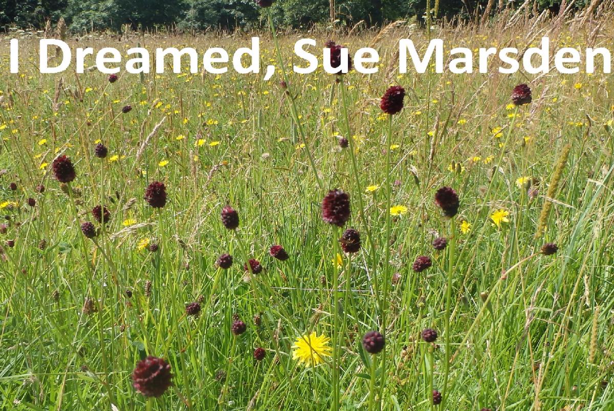 Poem & poem image by Sue Marsden