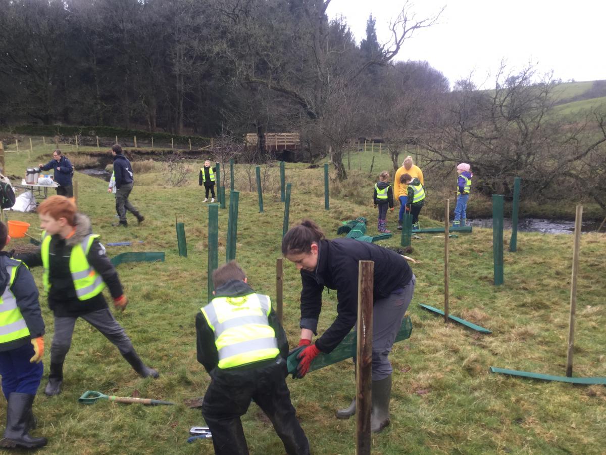 Tree Planting with Ribble Rivers Trust