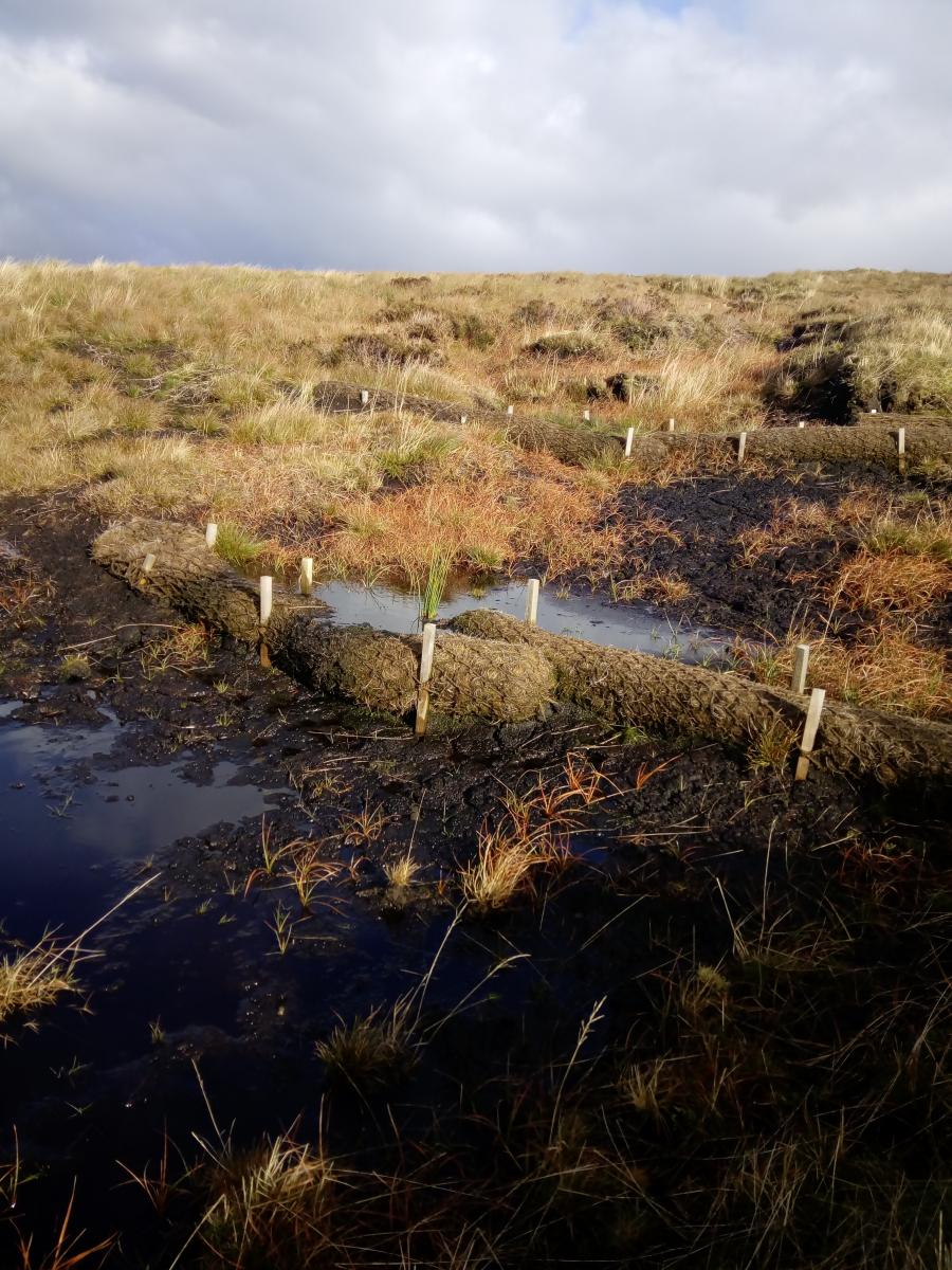 Coir logs on Mallowdale