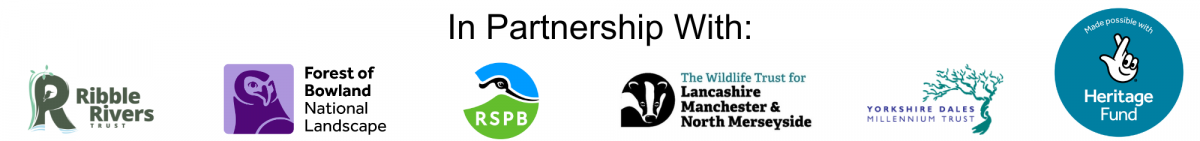 Bowland Connects Partnership Logo