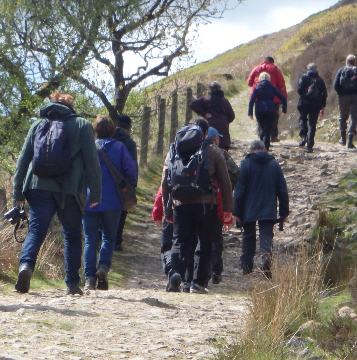 Langden butterfly walk