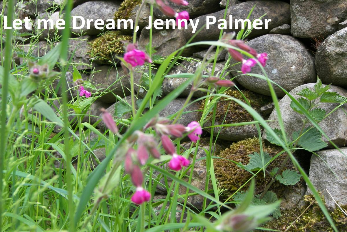 Poem by Jenny Palmer