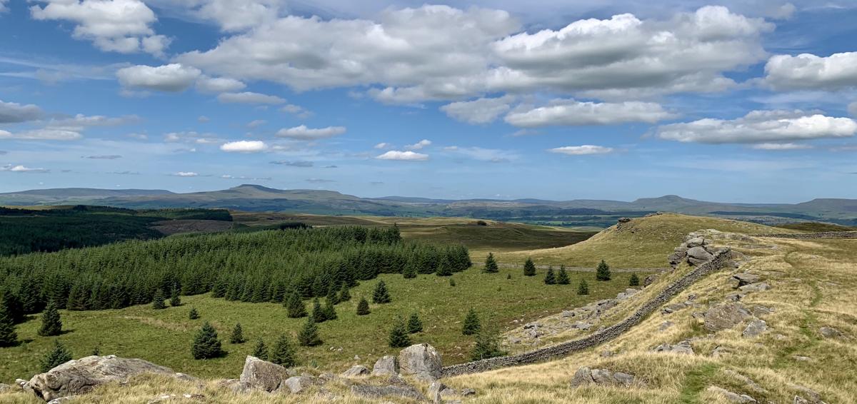 Bowland Fells, image by Mark Sutcliffe