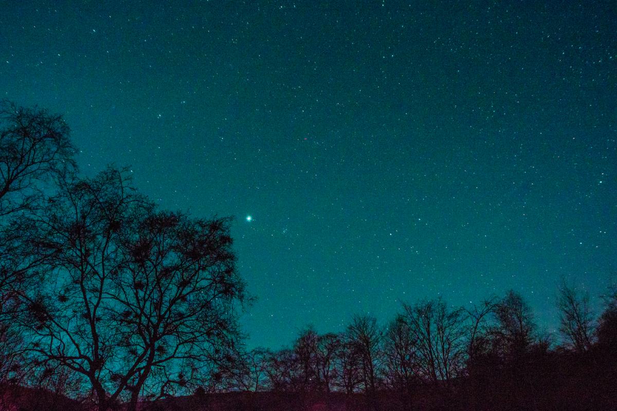 Image by Robert Ince