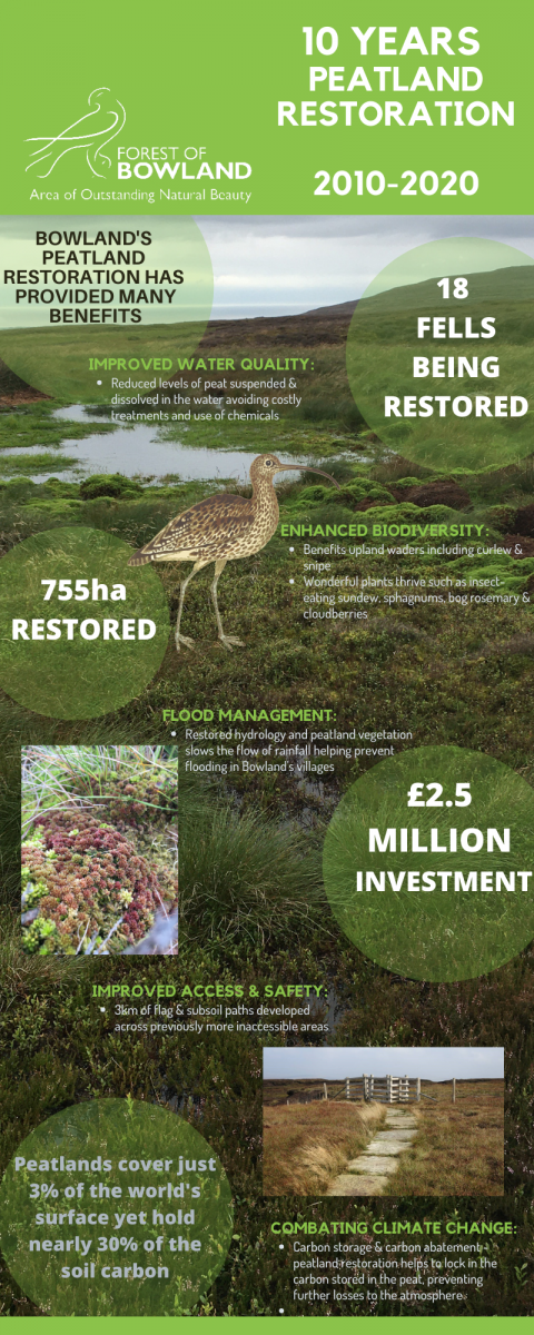 Peat infographic