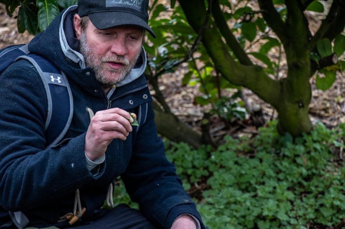 Pete Compston, Foraging Walk