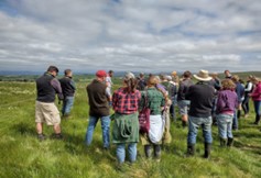 Pasture for Life event
