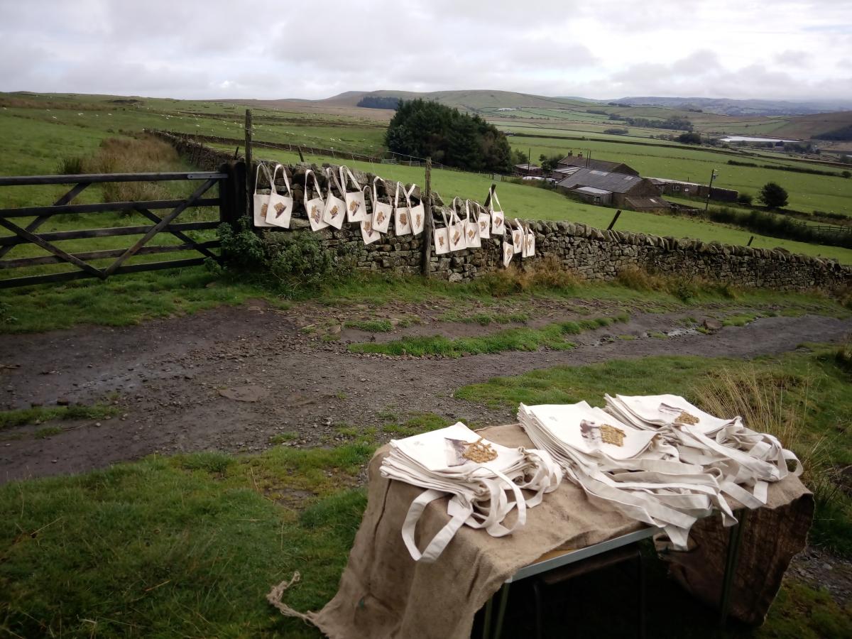 Sowing in Time, Pendle Hill Landscape Partnership Peat Engagement Event