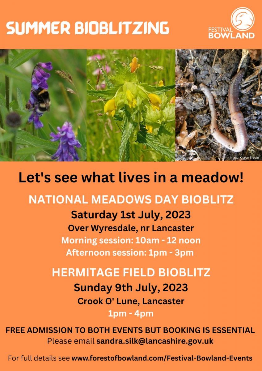 Summer BioBlitz events poster