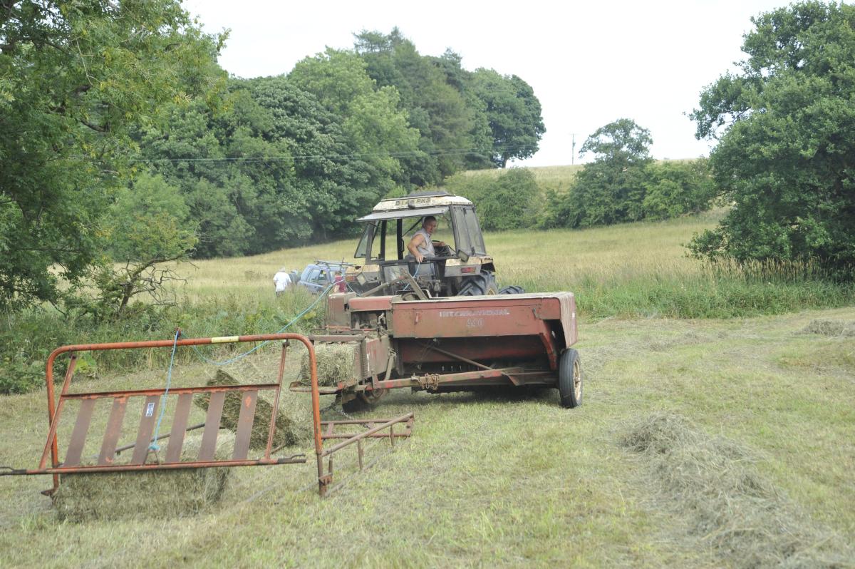 Bell Sykes Farm