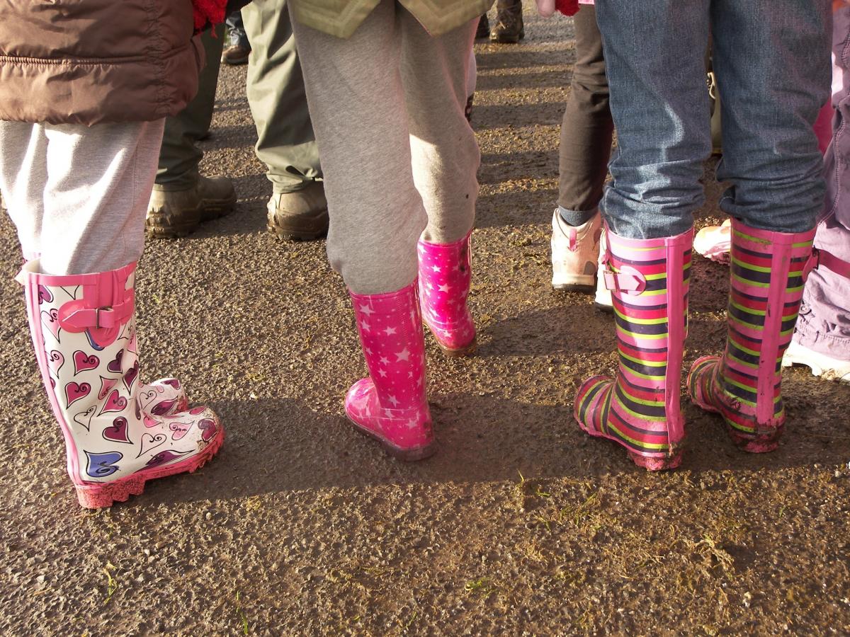 Colourful wellies walk image