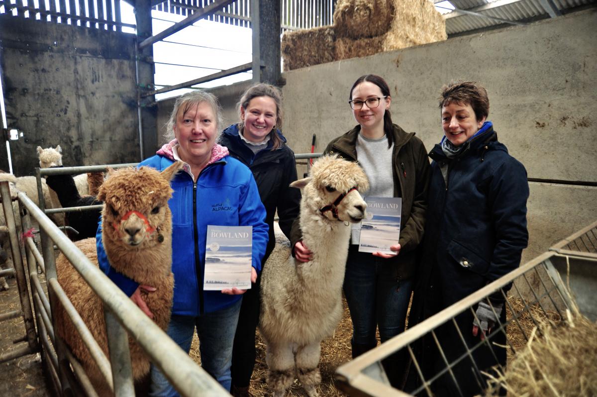 Guide Launch at Wood End Alpacas