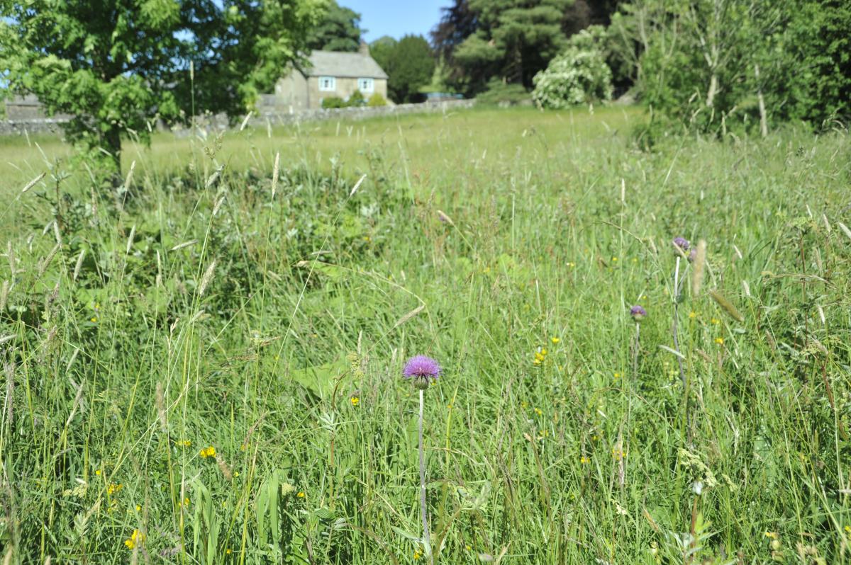 Bell Sykes Farm