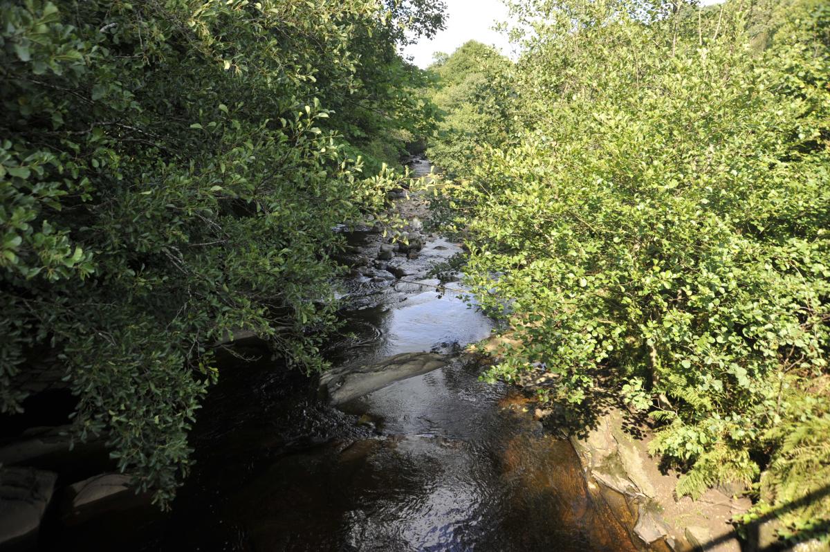 Backsbottom Farm