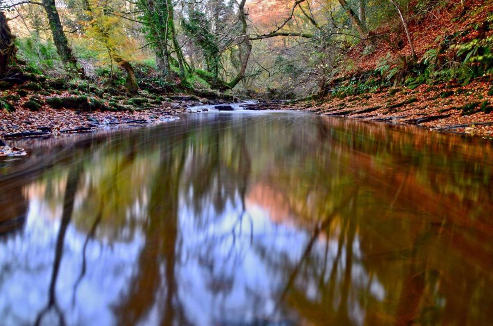 Image by Stephen Kidd