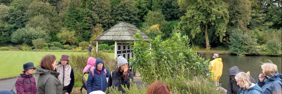 Herbal Medicine Walk
