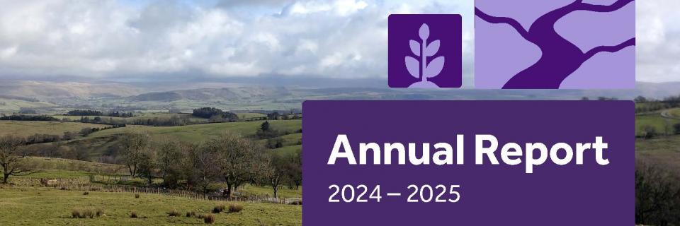 Annual report cover