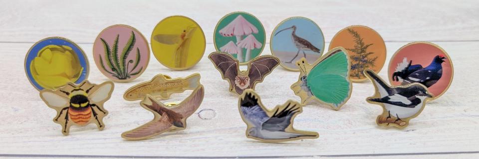 Champion Species Badge Collection by Salt Marsh Studios
