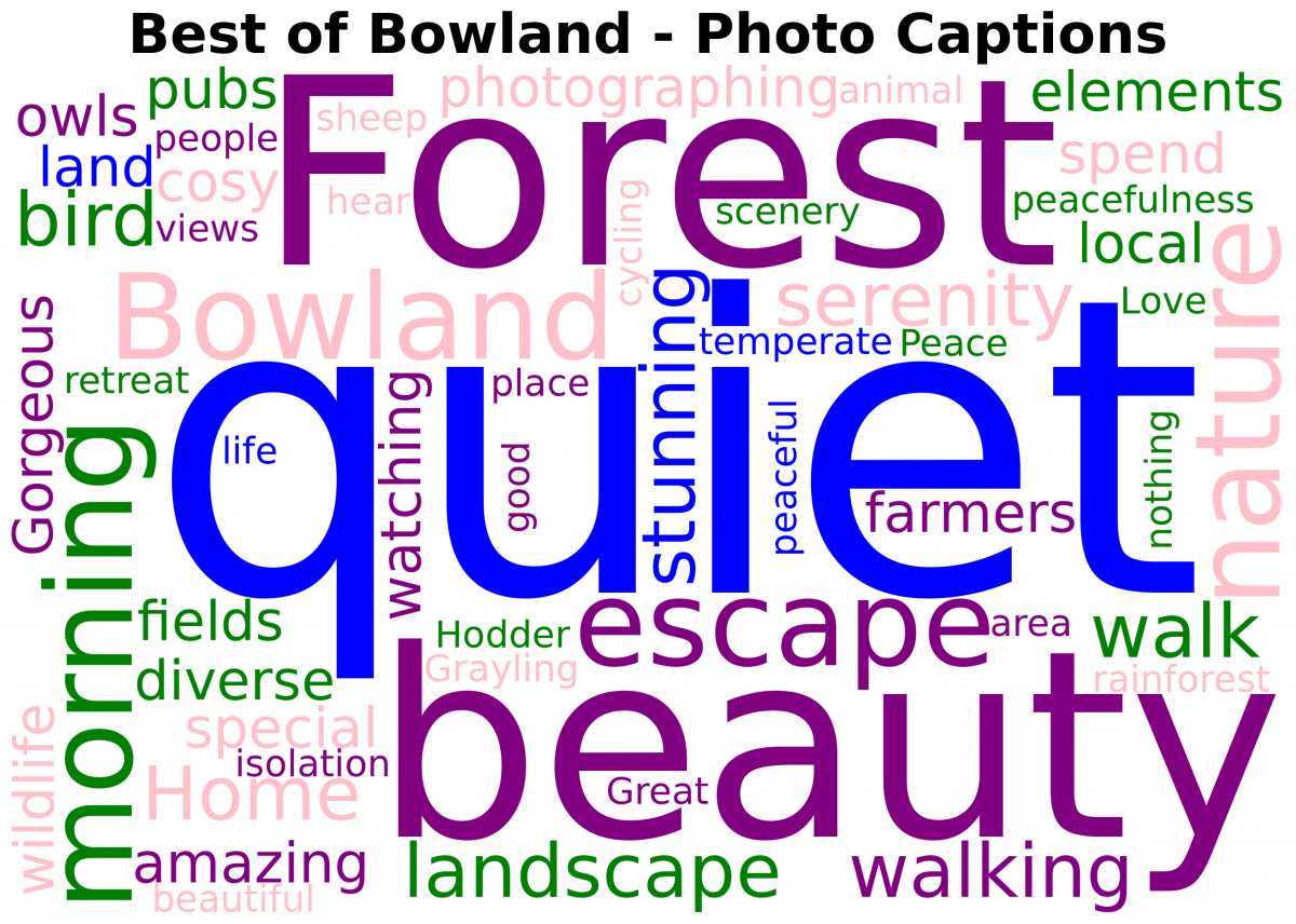 Word Cloud - Best of Bowland