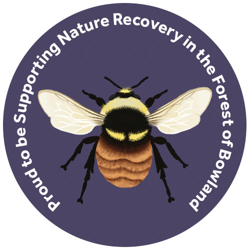 Bilberry bumblebee supporter badge by Salt Marsh Studios