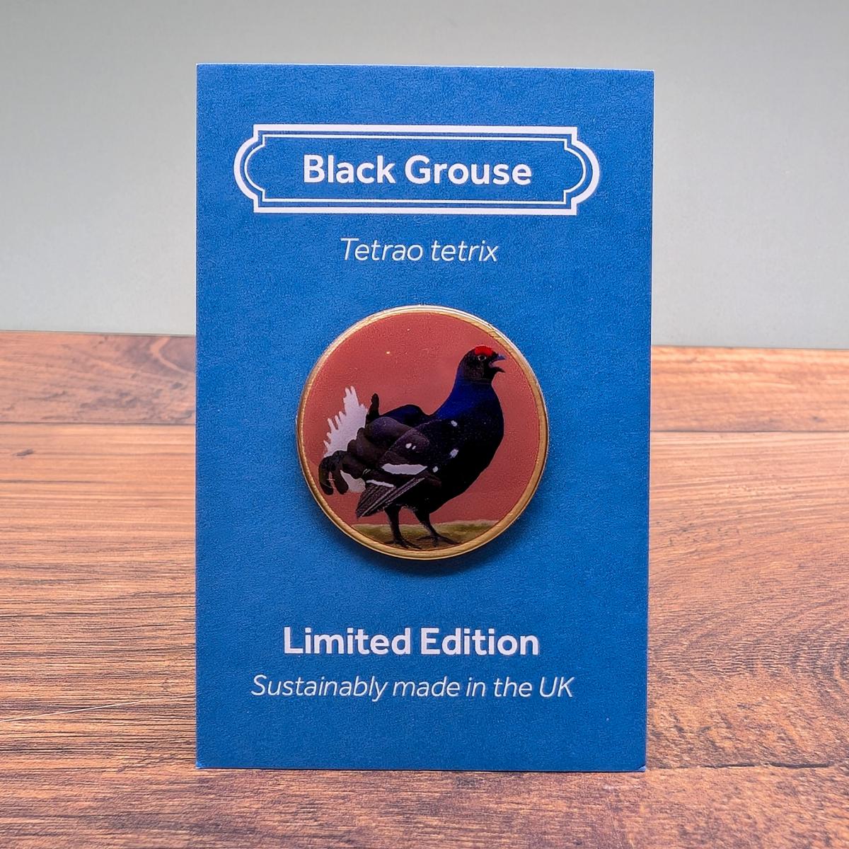 Black grouse by Saltmarsh Studios