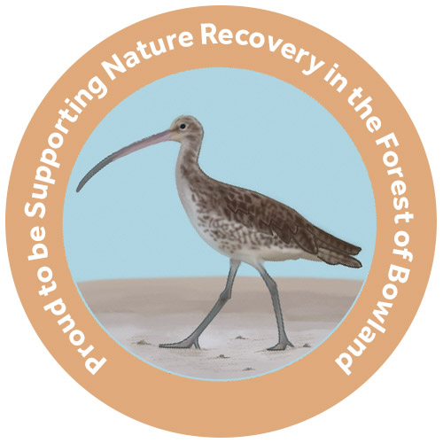 Badge image by Salt Marsh Studios