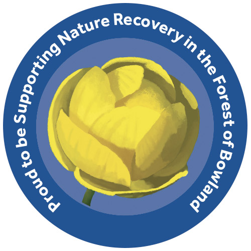  Globeflower