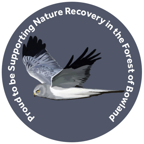 Hen Harrier Supporter Logo by Salt Marsh Studios