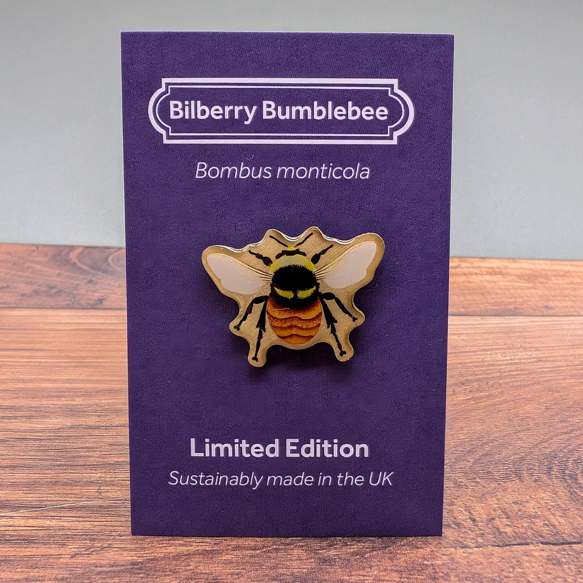 Bilberry bumblebee by Saltmarsh Studios