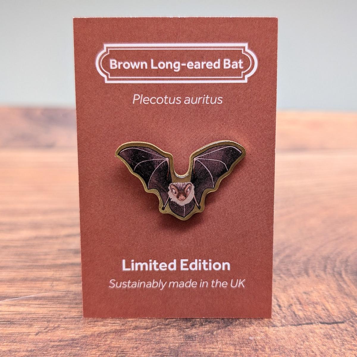 Brown long-eared bat by Saltmarsh Studios