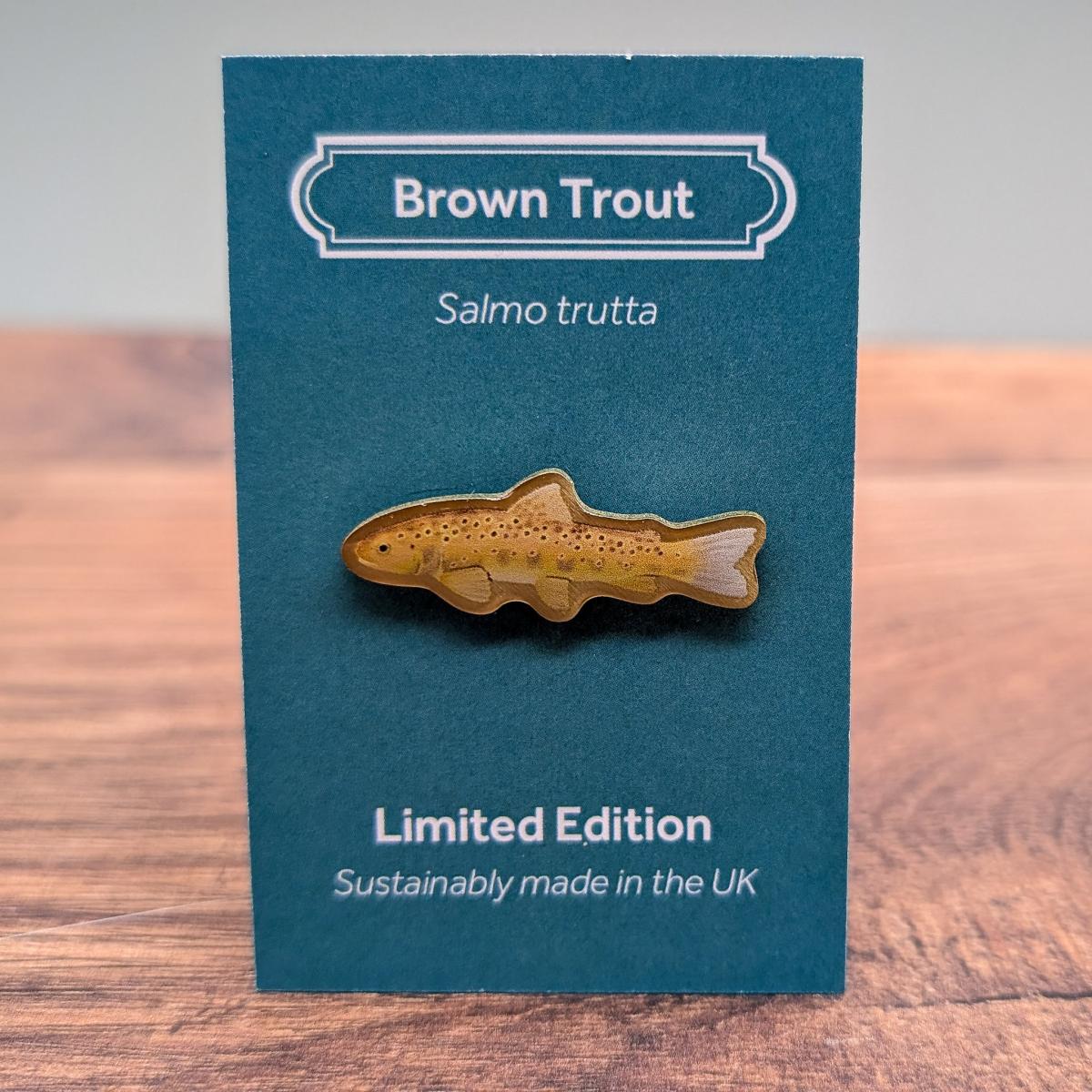 Brown trout by Saltmarsh Studios