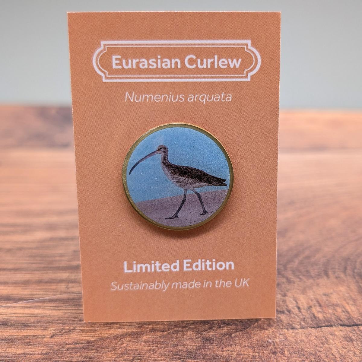 Eurasian Curlew - by Saltmarsh Studios