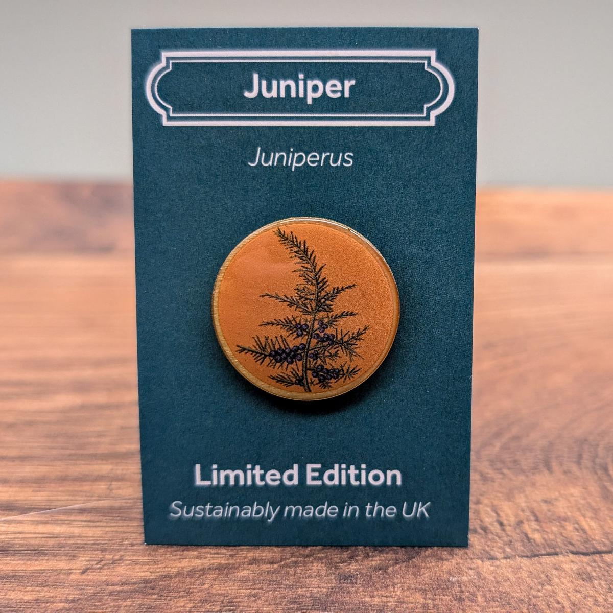 Juniper by Saltmarsh Studios
