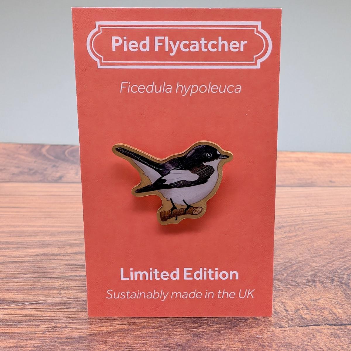 Pied flycatcher by Saltmarsh Studios