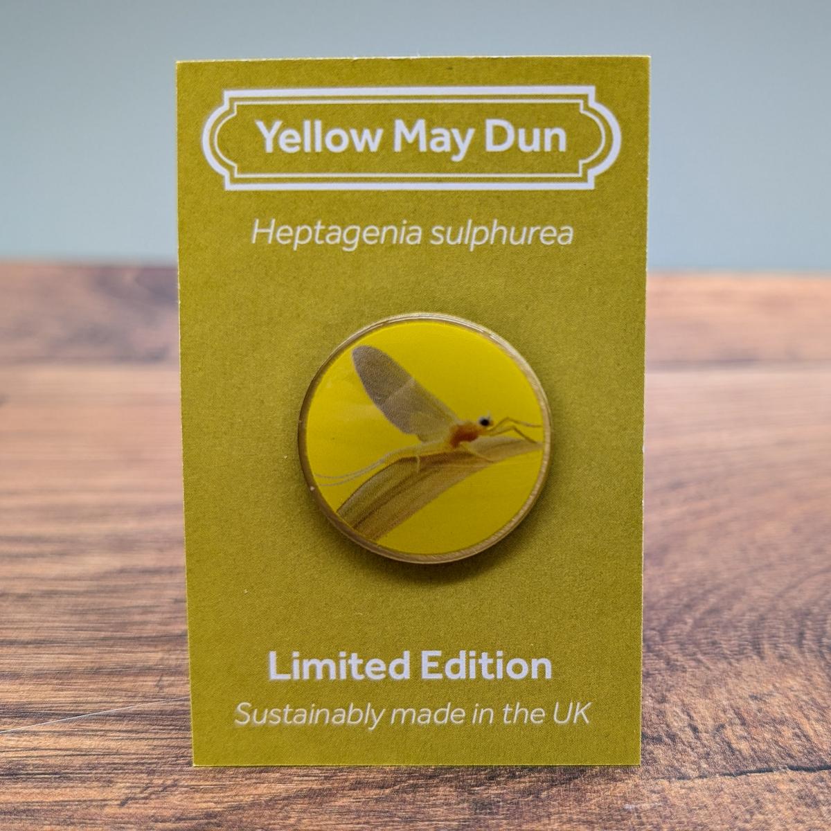 Yellow May dun by Saltmarsh Studios