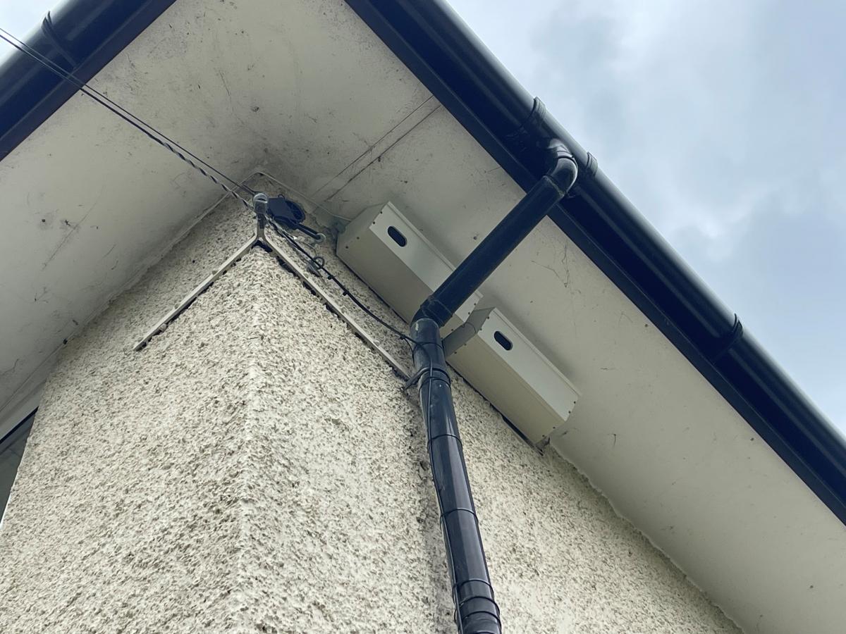 Swift box on house