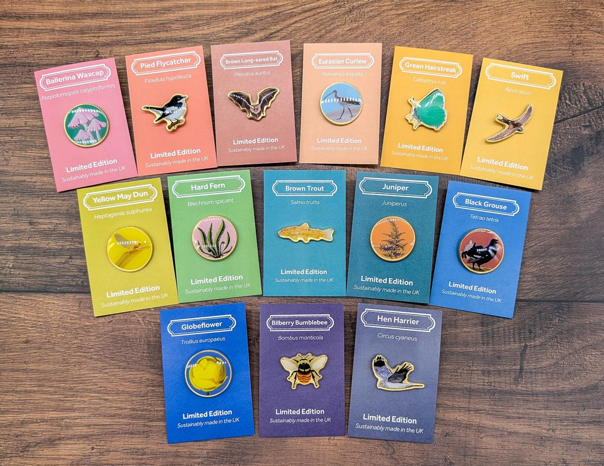 Champion Species Badge Collection - artwork by Salt Marsh Studios